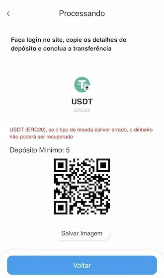 Passo 3: Faça login no site, copie os detalhes do depósito e con