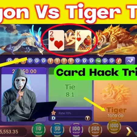 Taruhan Dragon Tiger da 8XBET, Jaminan Kemenangan