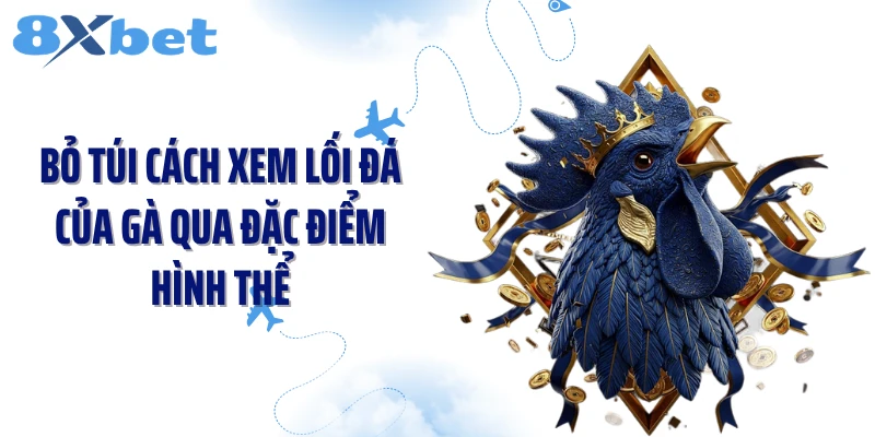 Bỏ túi cách xem lối đá của gà qua đặc điểm hình thể