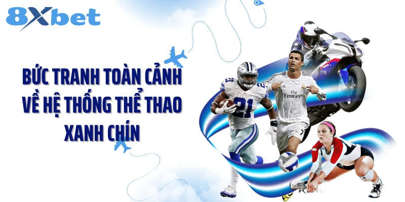 Bức tranh toàn cảnh về hệ thống thể thao xanh chín
