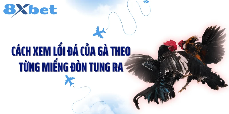 Cách xem lối đá của gà theo từng miếng đòn tung ra