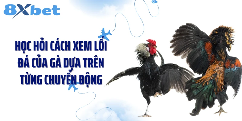 Học hỏi cách xem lối đá của gà dựa trên từng chuyển động