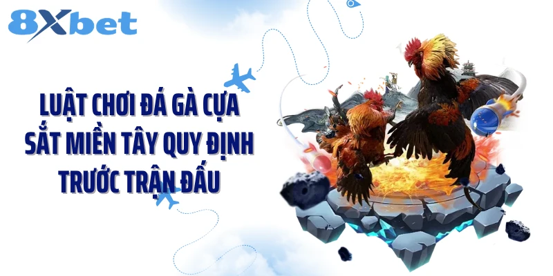 Luật chơi đá gà cựa sắt miền Tây quy định trước trận đấu
