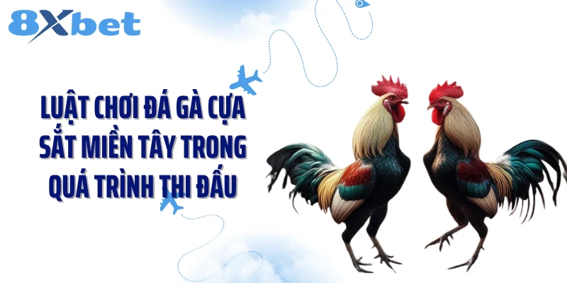 Luật chơi đá gà cựa sắt miền Tây trong quá trình thi đấu