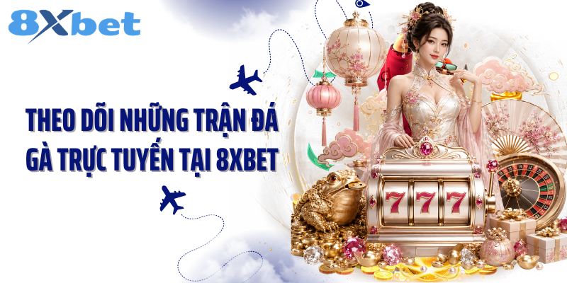 Theo dõi những trận đá gà trực tuyến tại 8Xbet